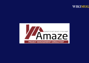 Amaze Project Management Consultant